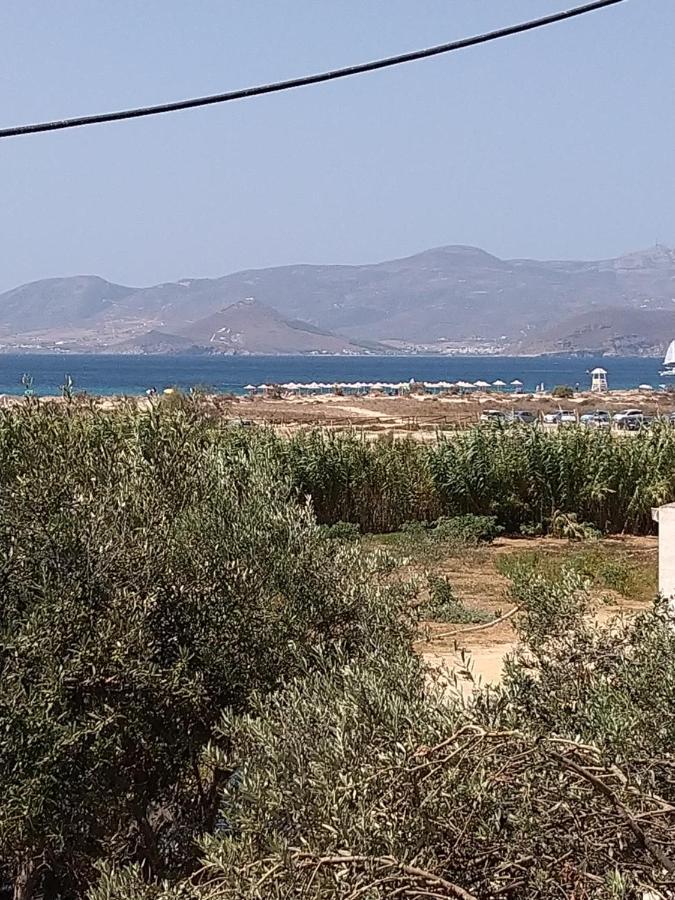 Nikoletta Studios 1 Agios Prokopios  Luaran gambar